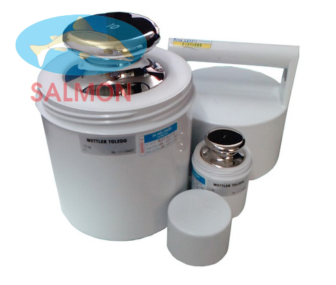 Quả cân chuẩn M1 - Mettler Toledo