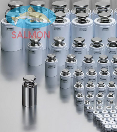 Quả cân chuẩn F1 - Mettler Toledo