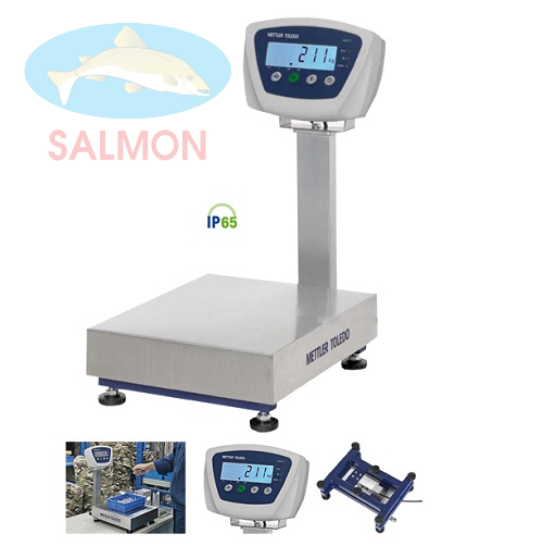 Cân bàn BBA211 - Mettler Toledo