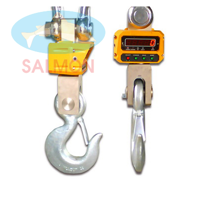 Cân treo 20 tấn