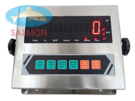 Bộ chỉ thị D30 - KELI