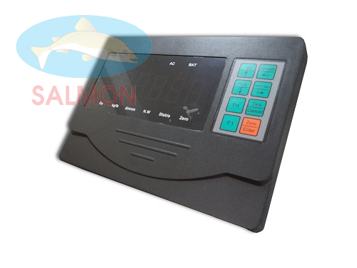 Bộ chỉ thị D30-1 - KELI