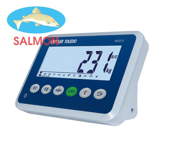 Bộ chỉ thị IND231 - Mettler Toledo
