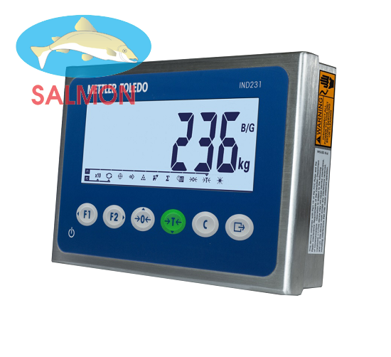 Bộ chỉ thị IND236 - Mettler Toledo