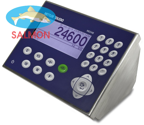 Bộ chỉ thị IND246 - Mettler Toledo