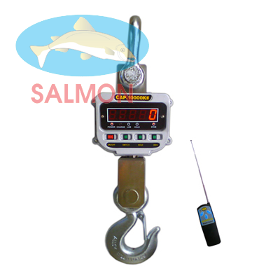 Cân treo 10 tấn