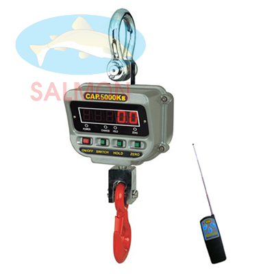 Cân treo 5 tấn