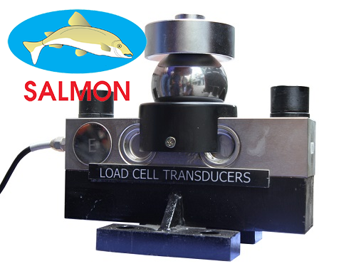 Loadcell QS-D30T KELI