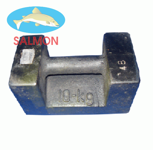 Quả cân 10kg - QH