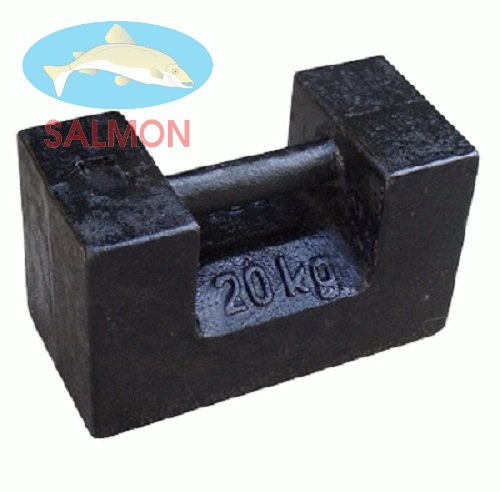 Quả cân 20kg - QH