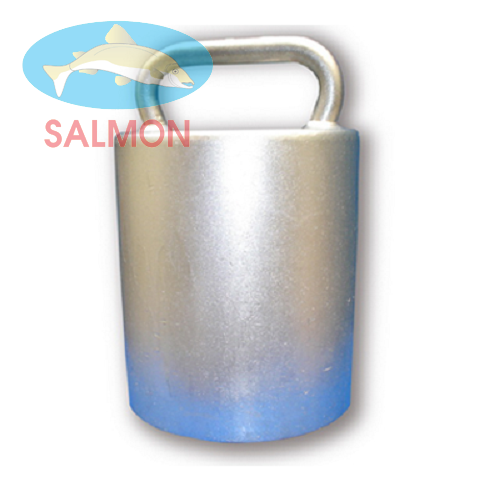 Quả cân 50kg - QH