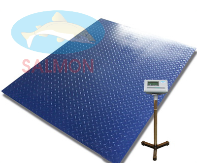 Cân 1 tấn 1,2m x 1,5m