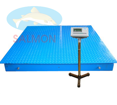Cân 5 tấn 1.5m x 1.5m