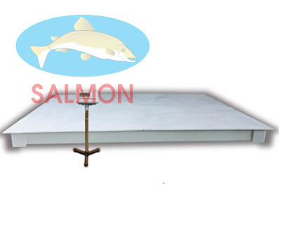 Cân điện tử 5 tấn 1.5m x 2m