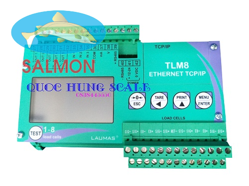 Bộ chỉ thị TLM8 - LAUMAS