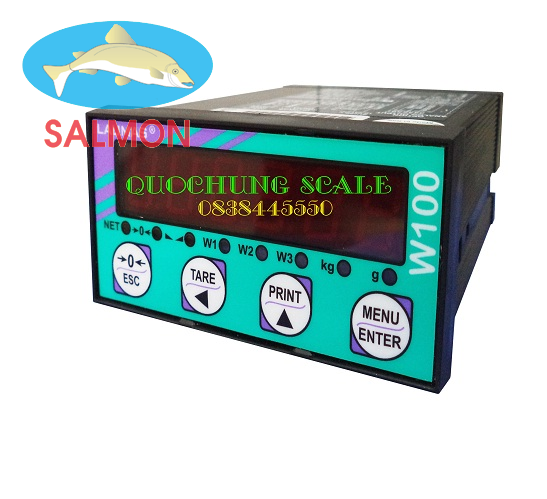Bộ chỉ thị W100 - LAUMAS