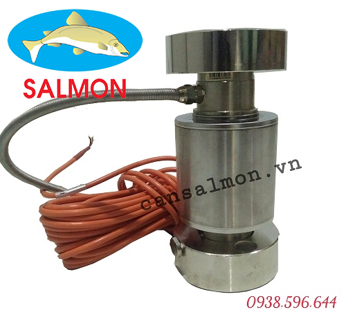 Loadcell ZSGB-A30t - KELI
