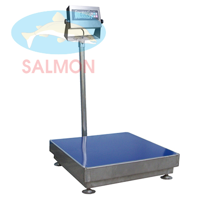Cân bàn Inox A12ss