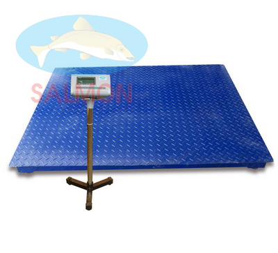 cân sàn 1 tấn 1,2m x 1,2m