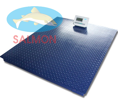 Cân 2 tấn 1.2m x 1.5m