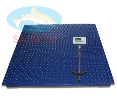 Cân điện tử 3 tấn 1.5m x 1.5m