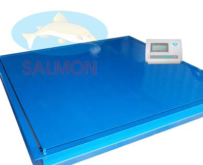 Cân sàn 10 tấn