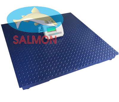 Cân sàn 2 tấn 1.2m x 1.2m