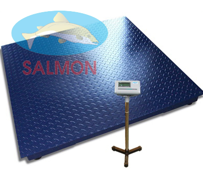 Cân sàn 3 tấn 1.2m x 1.2m