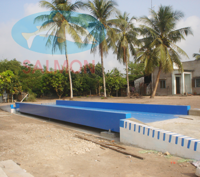 Cân 100 tấn
