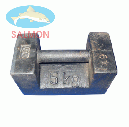 Quả cân 5kg - QH