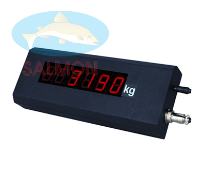 Bộ chỉ thị phụ - remote